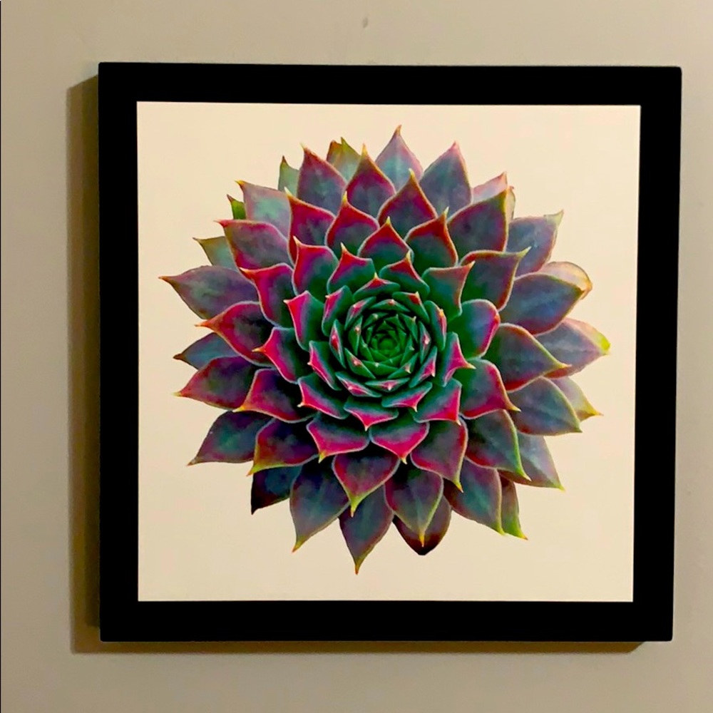 Wall Art